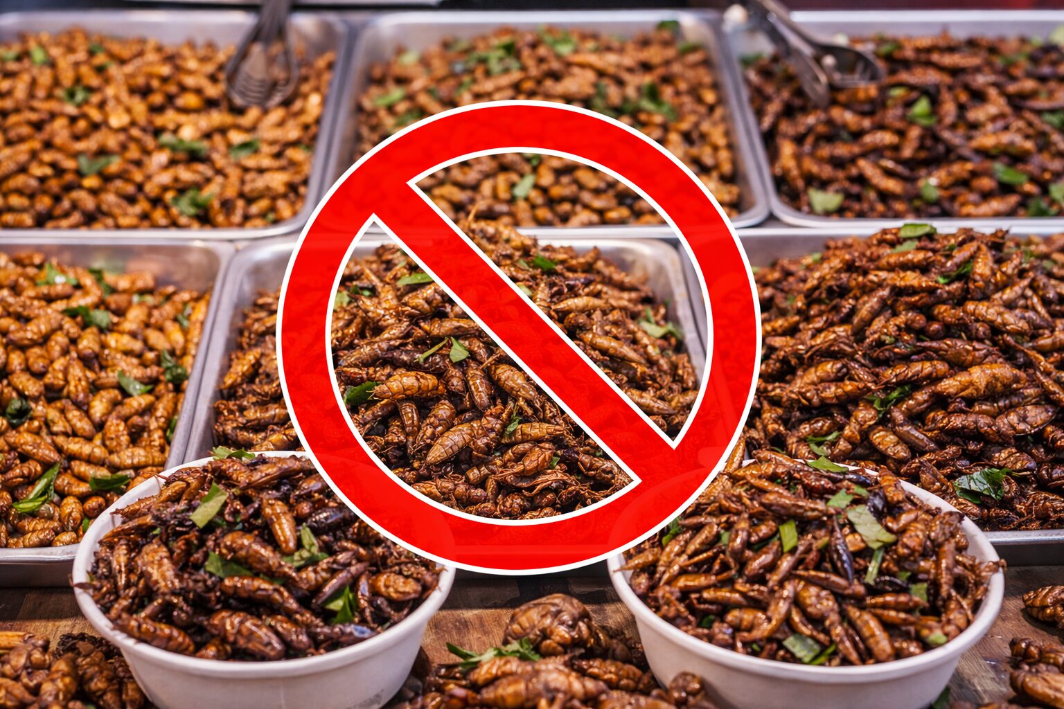 タイの虫スナック（コオロギ・バッタなど）