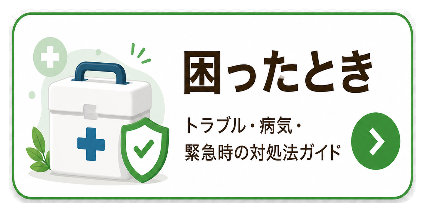 困ったとき